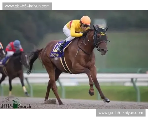 比分赛马：把每一秒都变成心跳的娱乐新体验